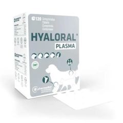 Hyaloral Plasma