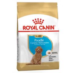 Royal Canin Poodle Puppy 3 Kg