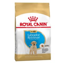 Royal Canin Labrador Puppy