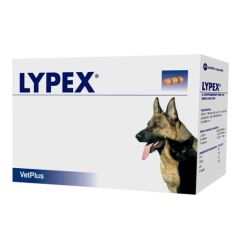 Lypex