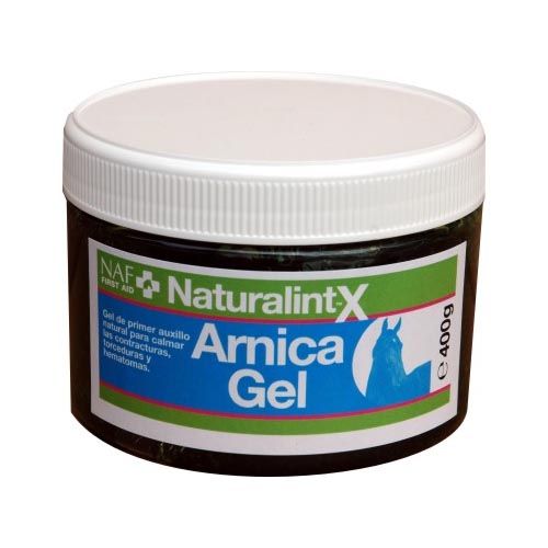 Arnica Gel – EquiZone Online