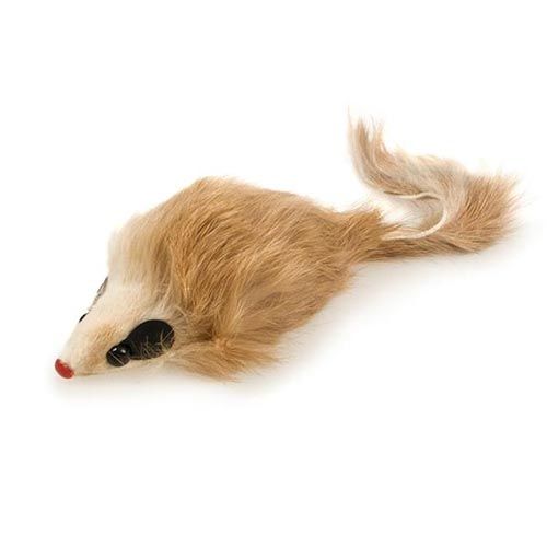 Raton Peludo 10Cm. Arquivet