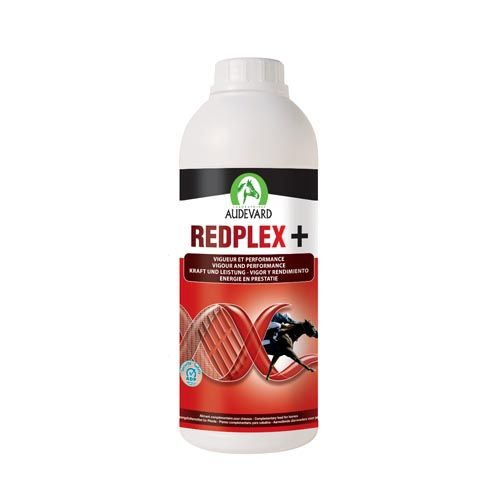 Redplex Caballos