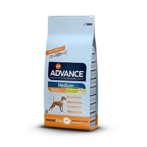 Advance Medium Adult Pollo y Arroz