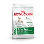 Royal Canin Mini Starter