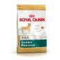 Royal Canin Golden Retriever