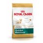 Royal Canin Golden Retriever Puppy