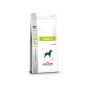 Royal Canin Dog Diabetic