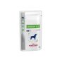 Royal Canin Dog Urinary S/O (sobre)